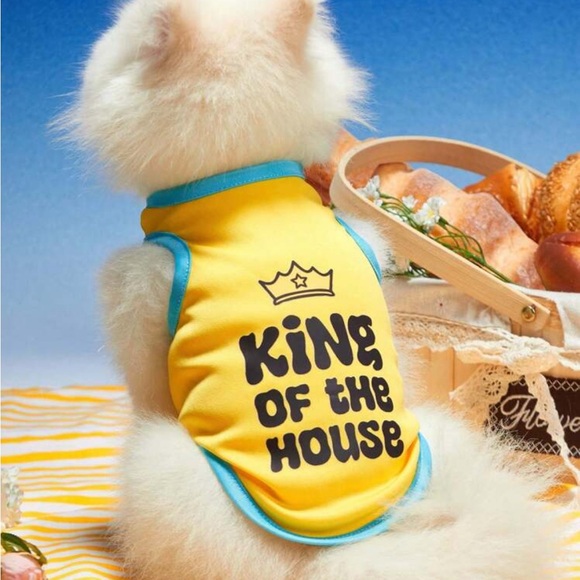 Yellow 'King of the House' Pet Shirt - Picture 1 of 1
